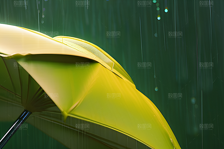 雨中的绿叶背景与雨伞