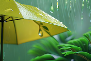 绿叶背景下的雨中美景
