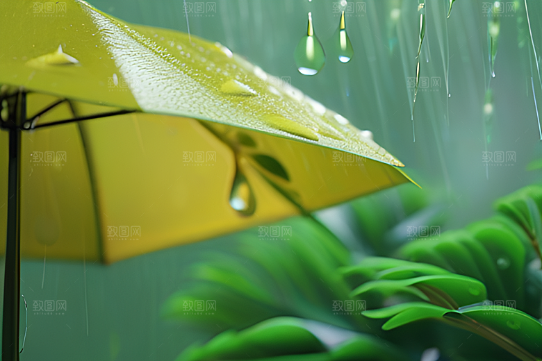 绿叶背景下的雨中美景