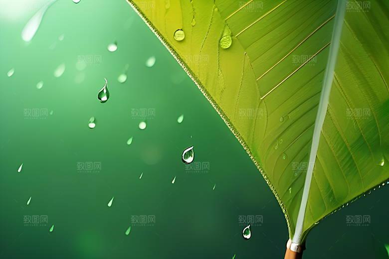 绿色背景下的水滴与黄色雨伞
