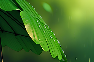 崔白与雨水的完美交融