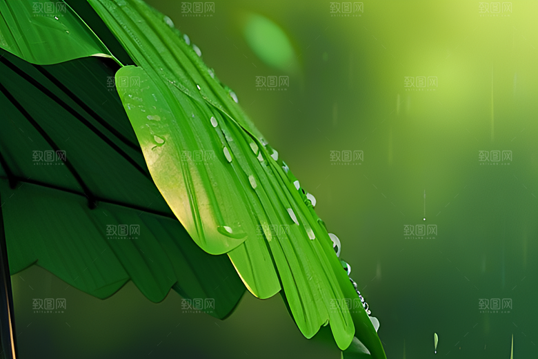 崔白与雨水的完美交融