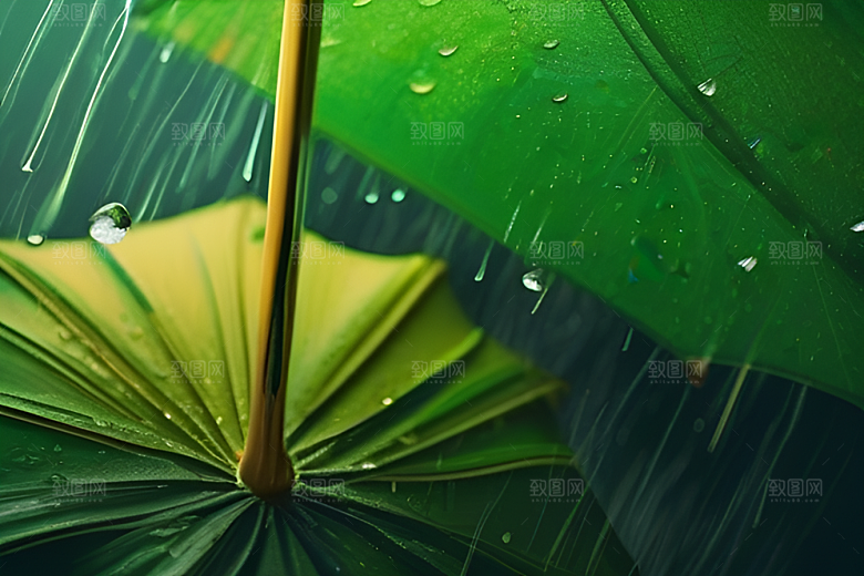 绿色背景中的雨滴与黄色雨伞