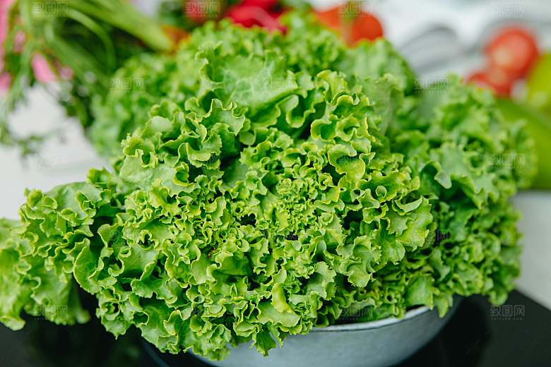 生菜蔬菜摄影素材