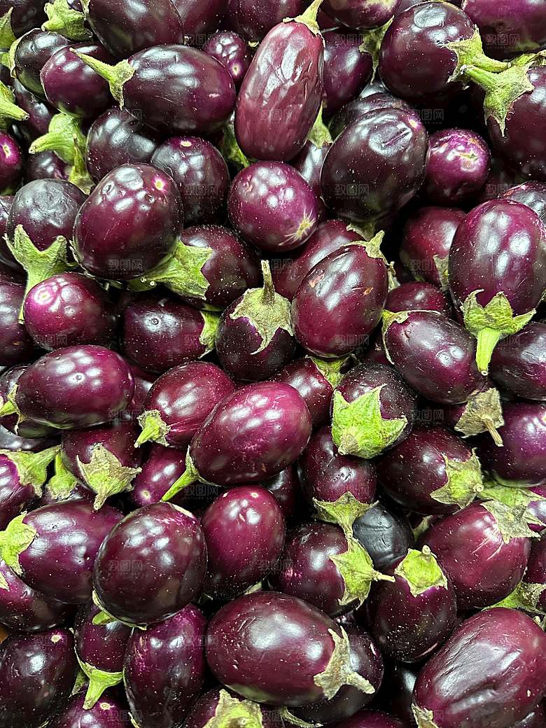 茄子蔬菜摄影素材