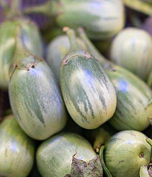 茄子蔬菜特写摄影素材