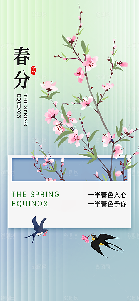 春分节气海报图片