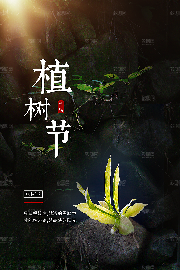 播种希望的种子312植树节