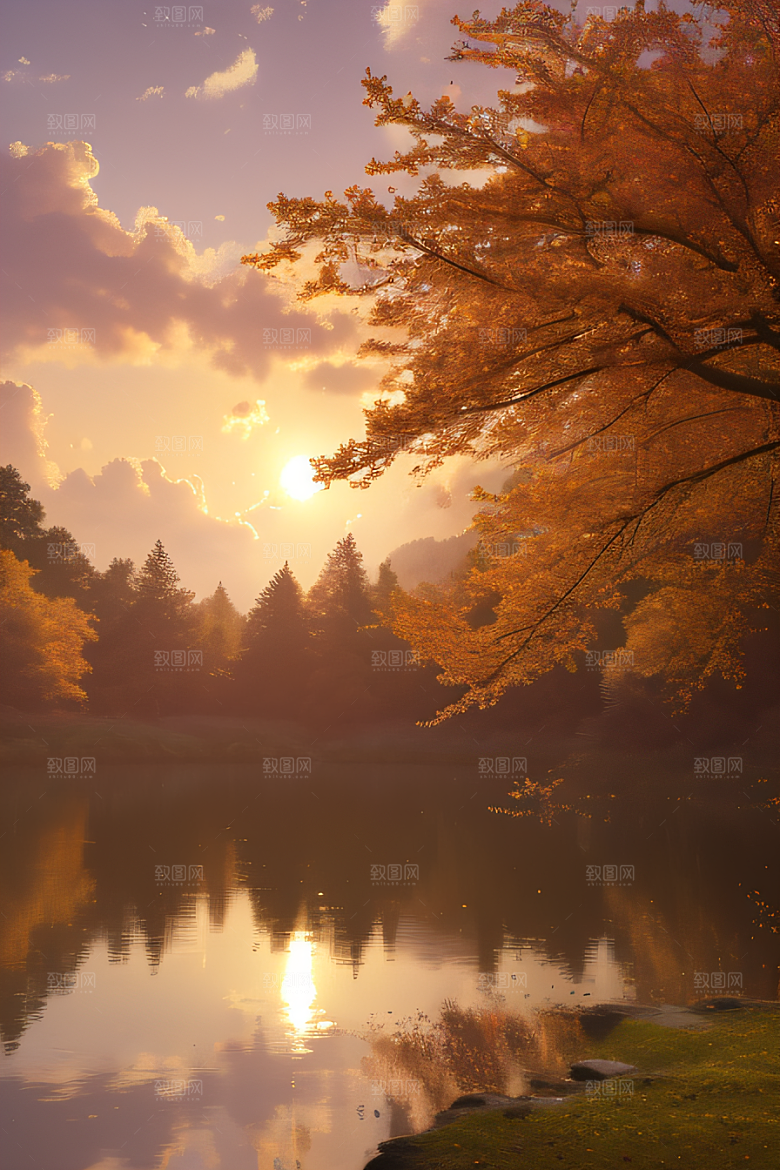 芦苇与晨光秋天的湖泊远景