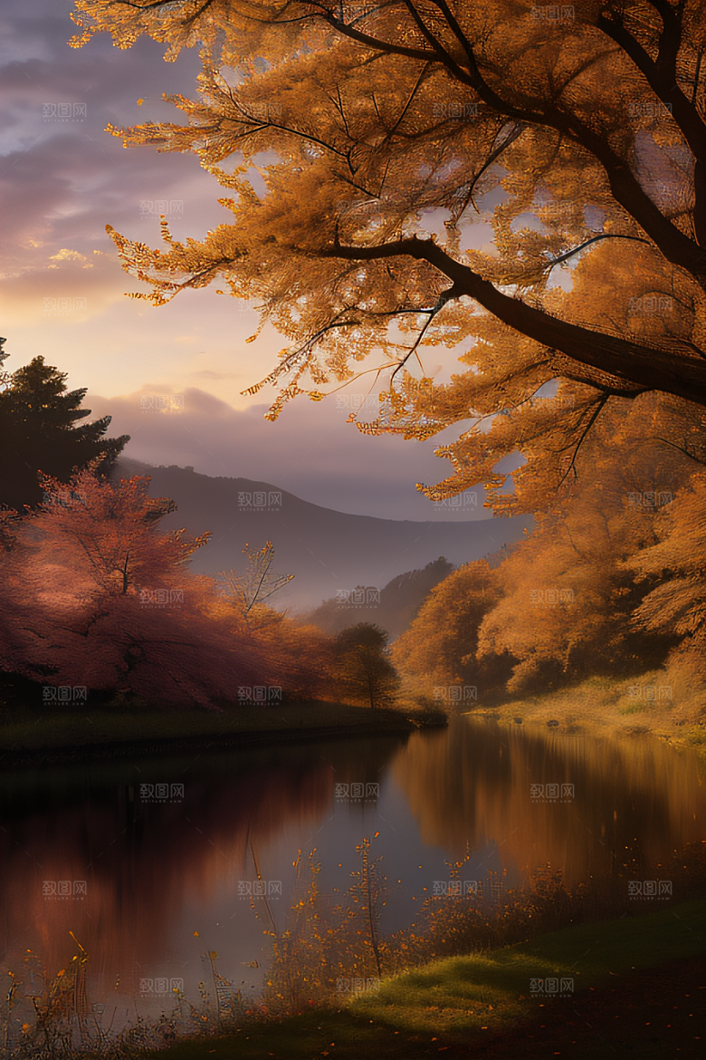 芦苇与晨光秋天的湖泊远景