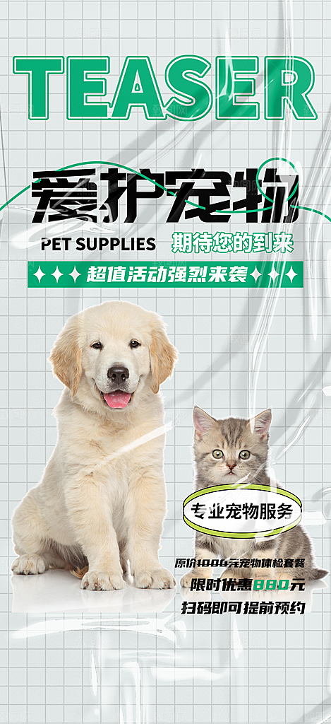 文明养犬宣传宠物店海报
