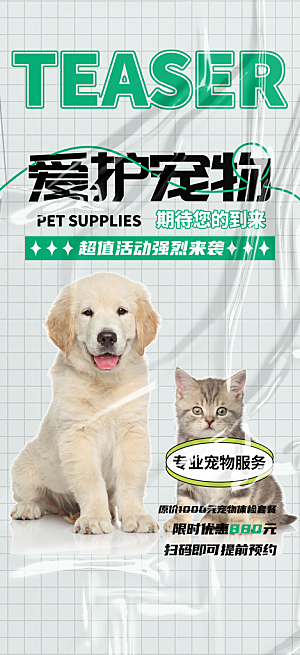 文明养犬宣传宠物店海报