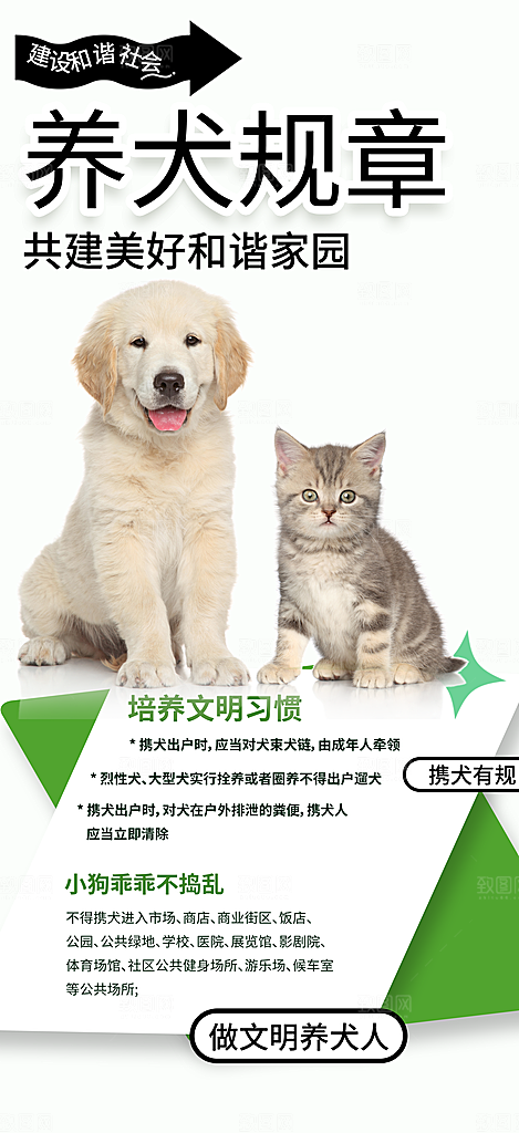 文明养犬宣传宠物店海报