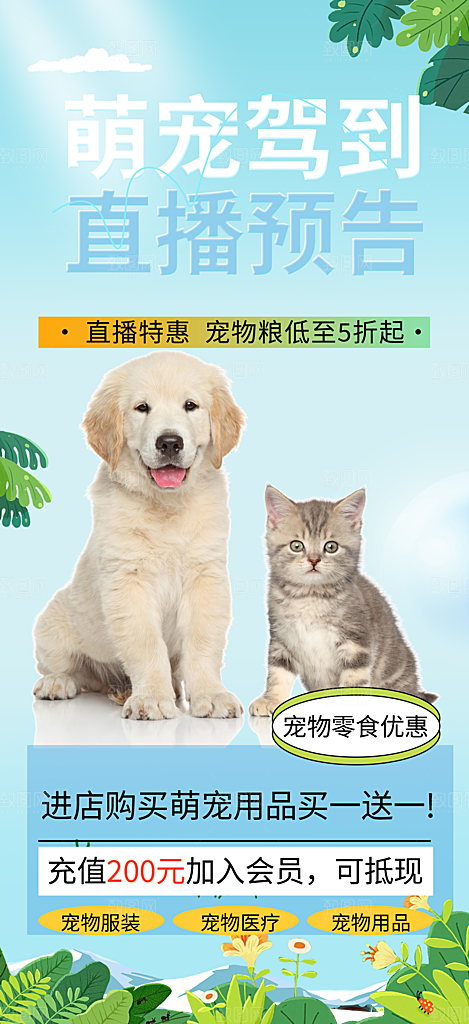 文明养犬宣传宠物店海报