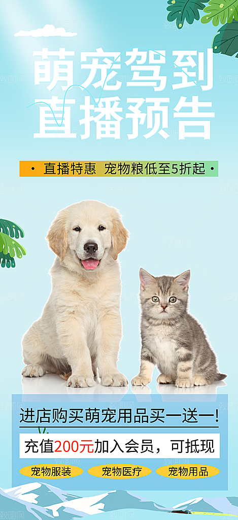 文明养犬宣传宠物店海报