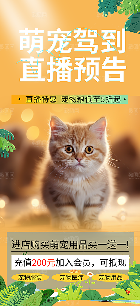 文明养犬宣传宠物店海报