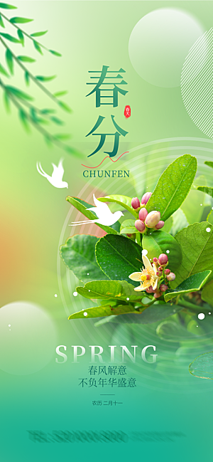 春分节气海报设计
