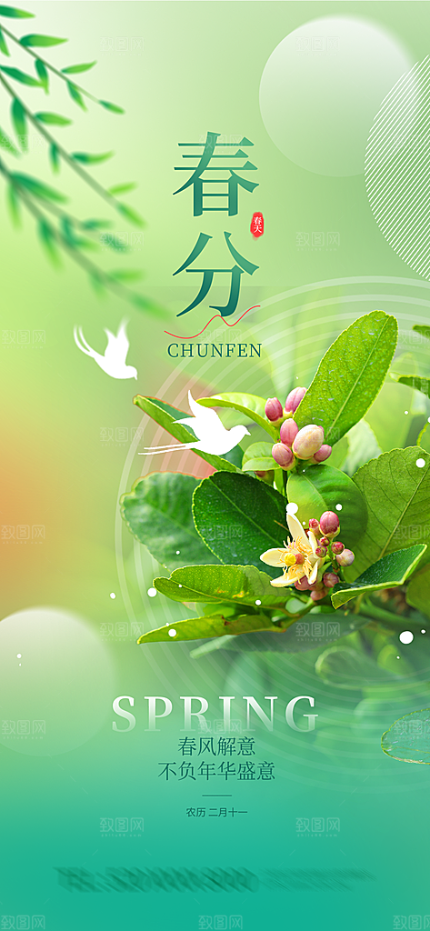 春分节气海报设计