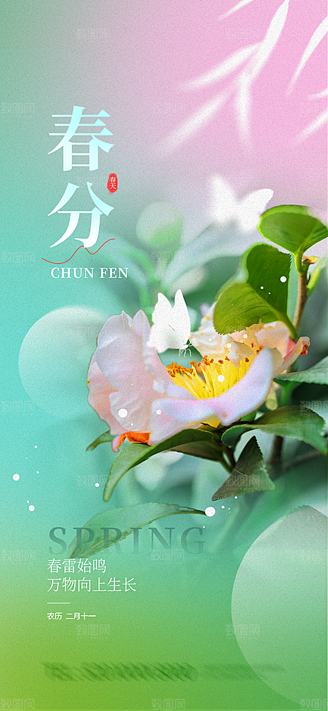 春分节气海报设计