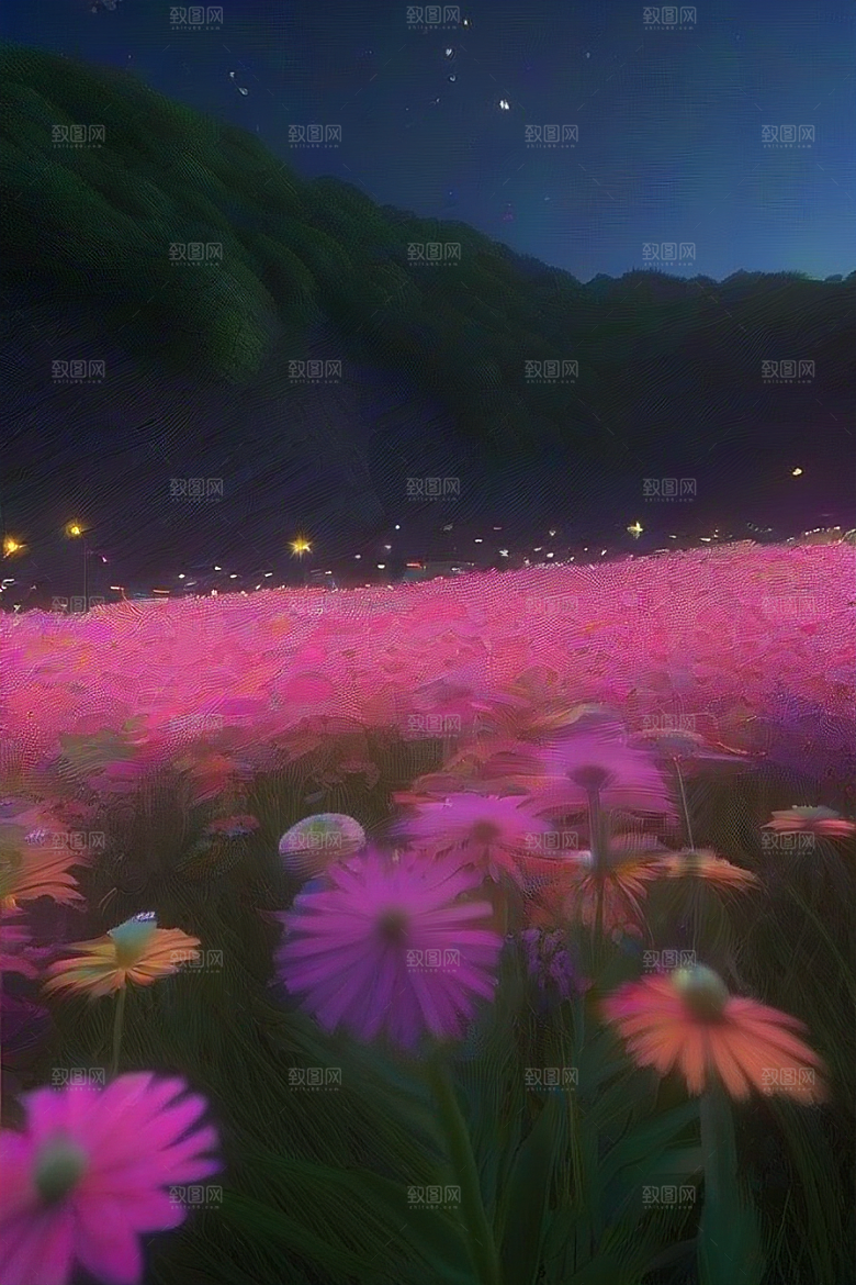 夏夜星辰奇幻极光与丛林