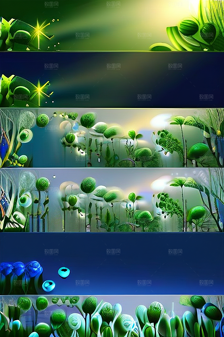 蓝玫瑰的舞蹈美景