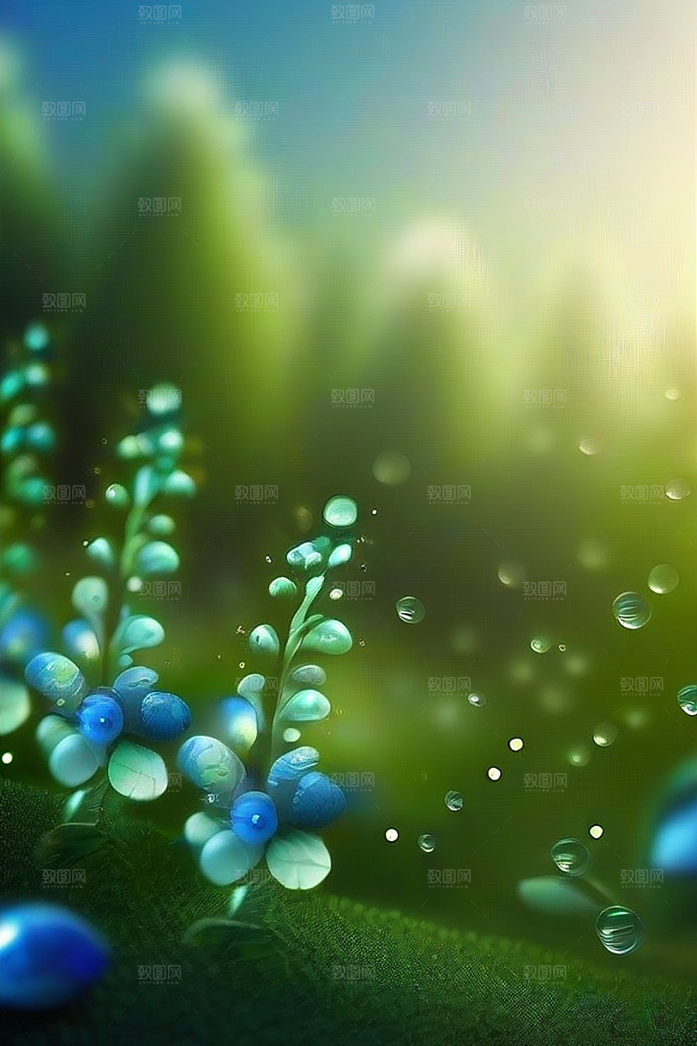 蓝玫瑰的舞蹈美景