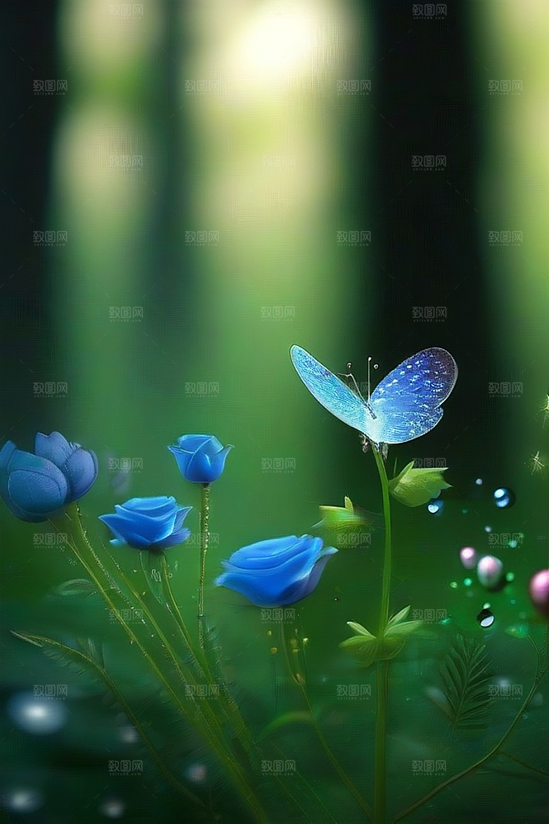 星星般的蓝玫瑰美景