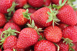 草莓果实水果摄影特写