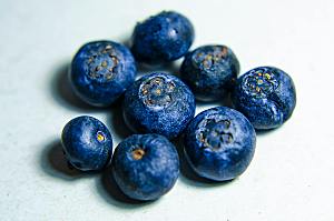 蓝莓素材果实摄影素材