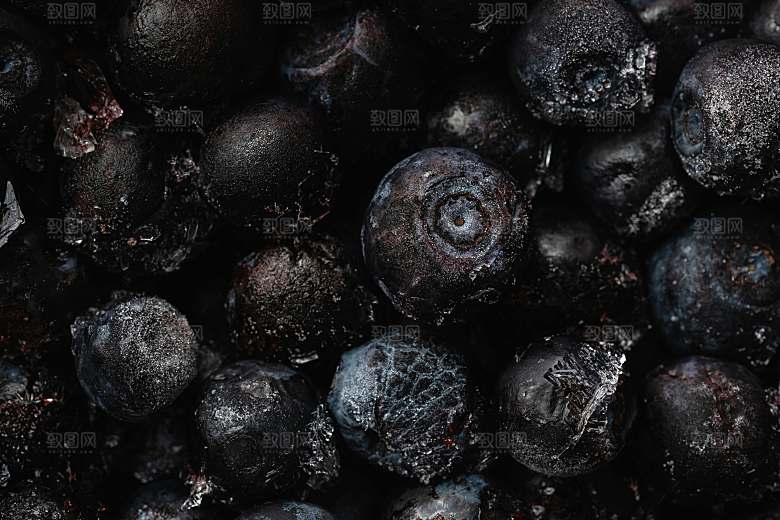 蓝莓果实摄影素材