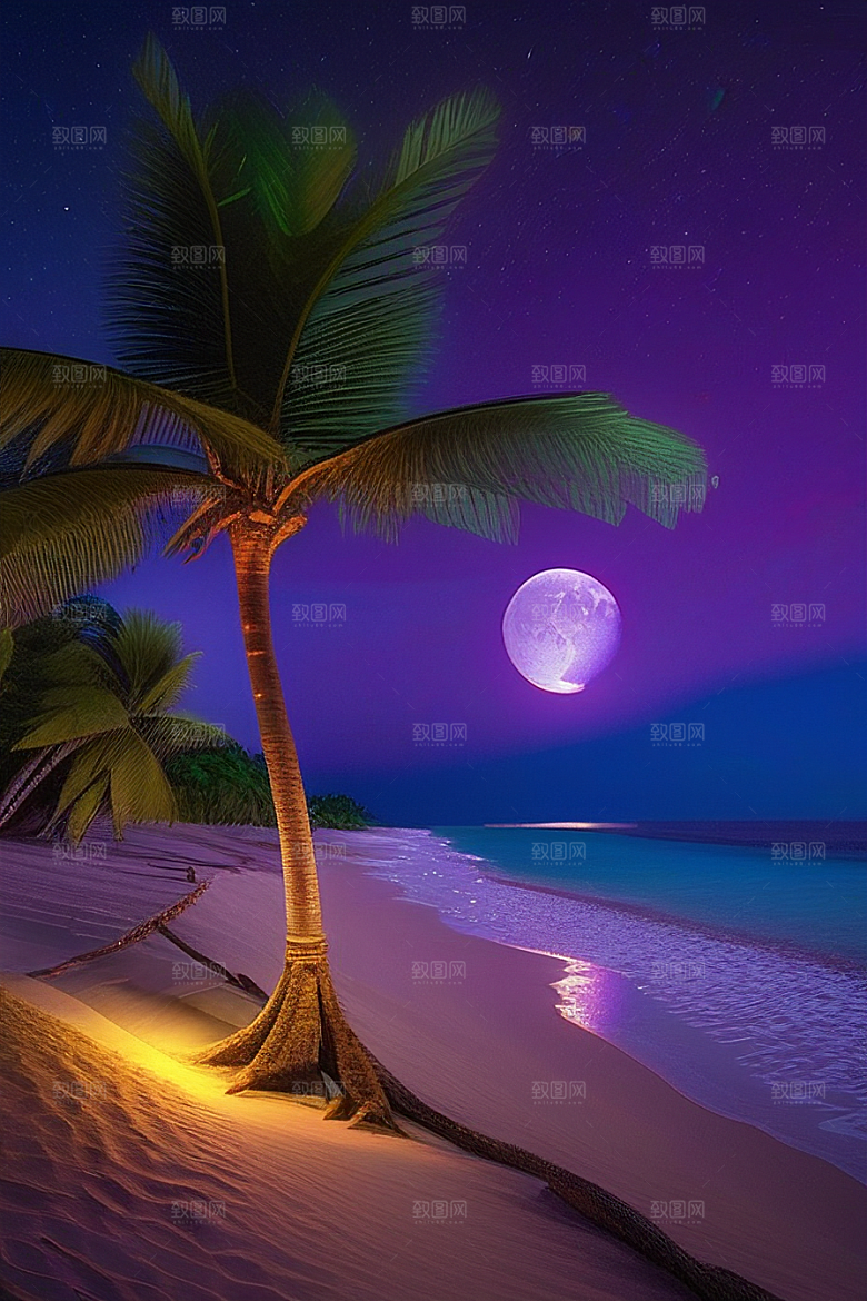 星光璀璨的夜空与浪漫之海