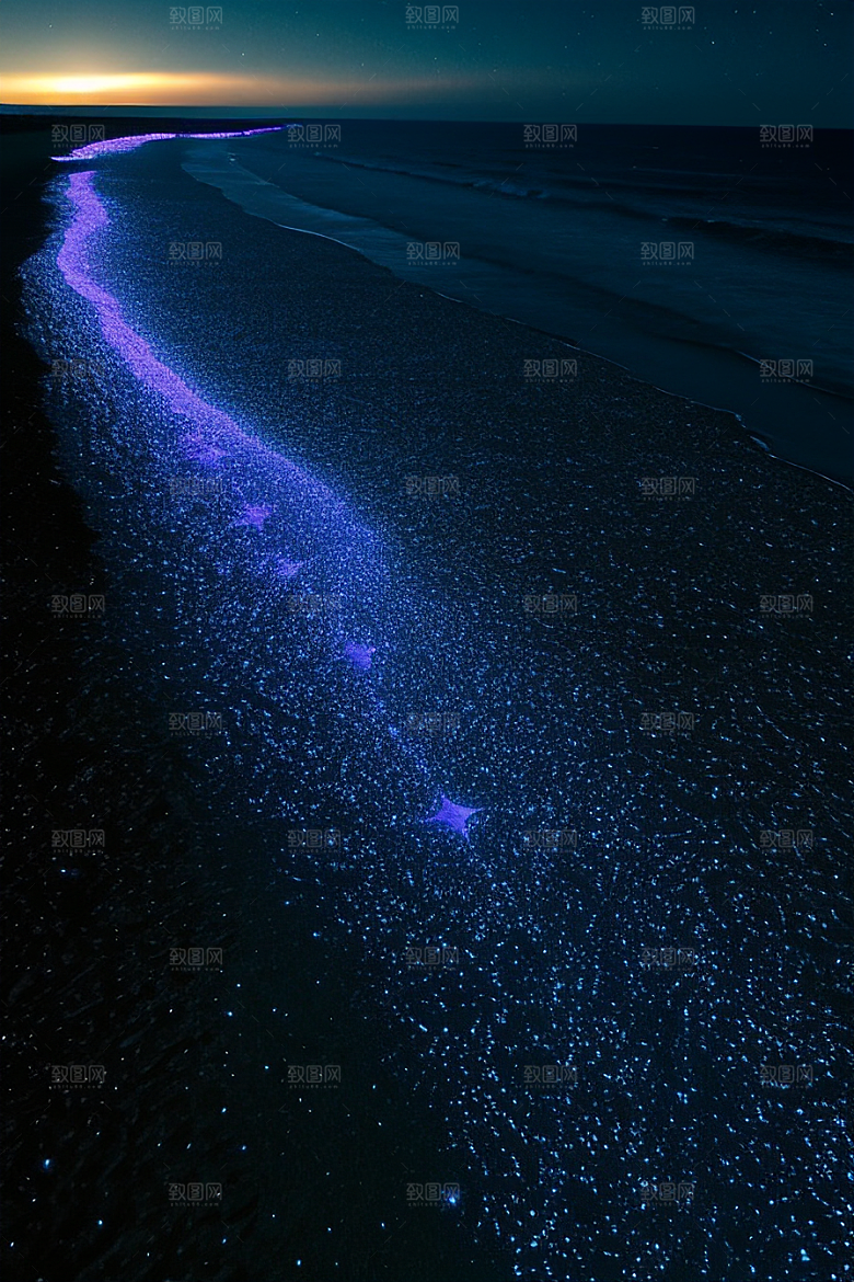 海洋中的荧光与绚丽星光