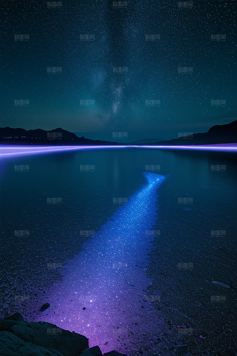 海洋中的荧光与绚丽星光