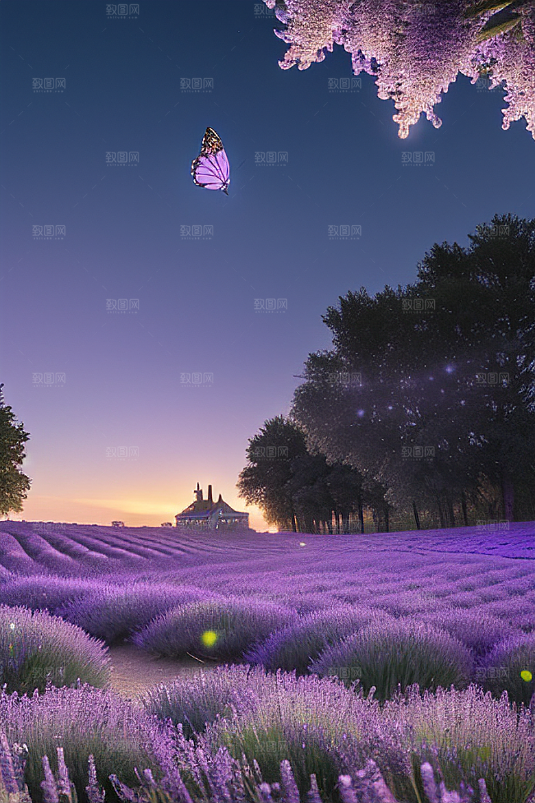 薰衣草花语等待爱意甜蜜之情思念