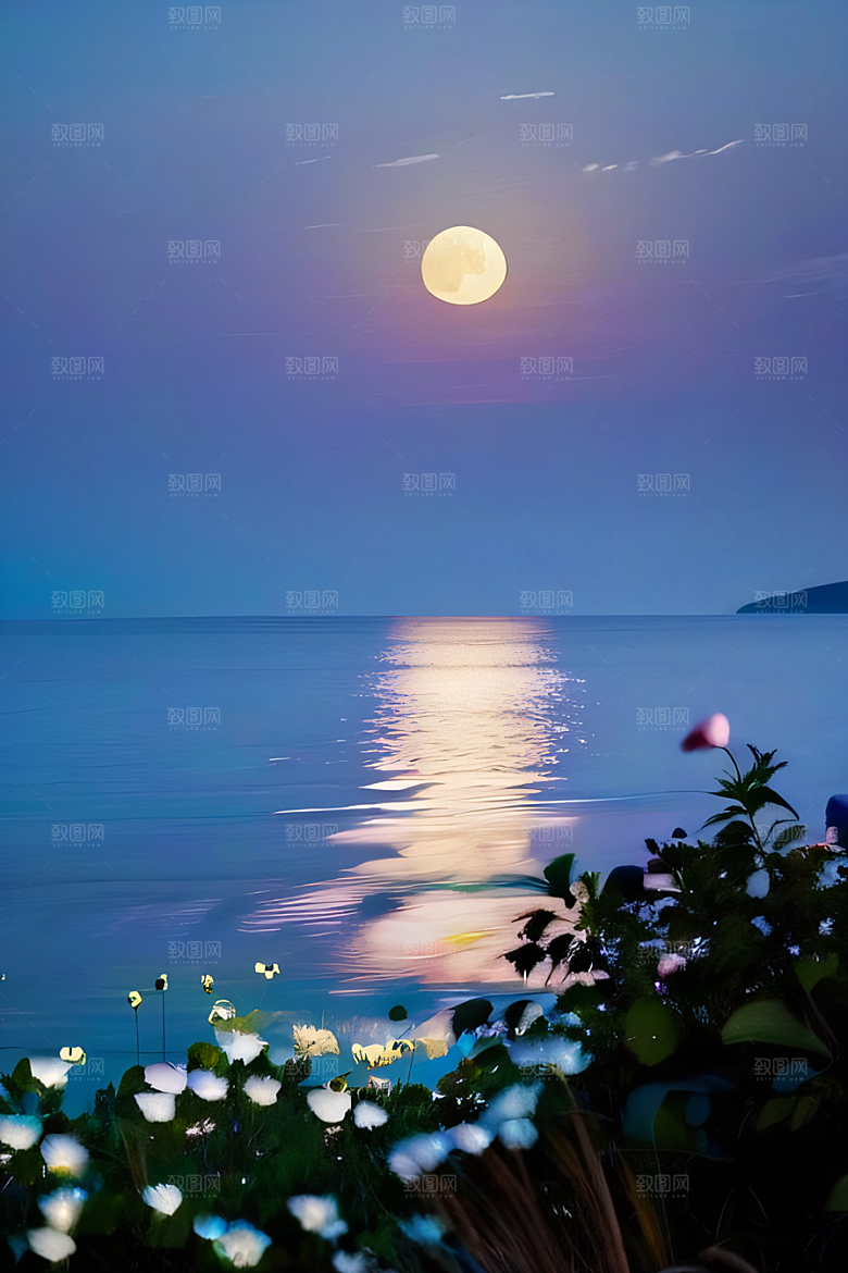 月夜佳景花海的迷人