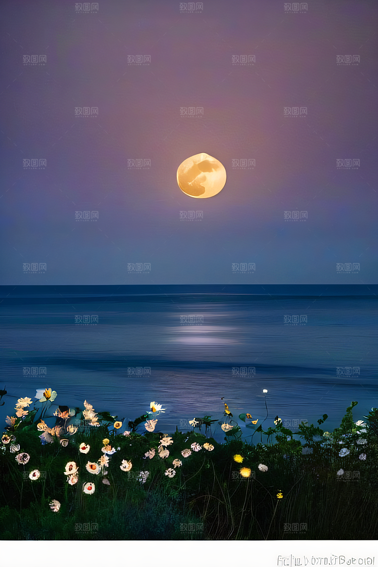 月光如诗浪漫花海