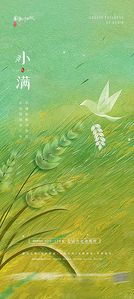 小满 二十四节气海报