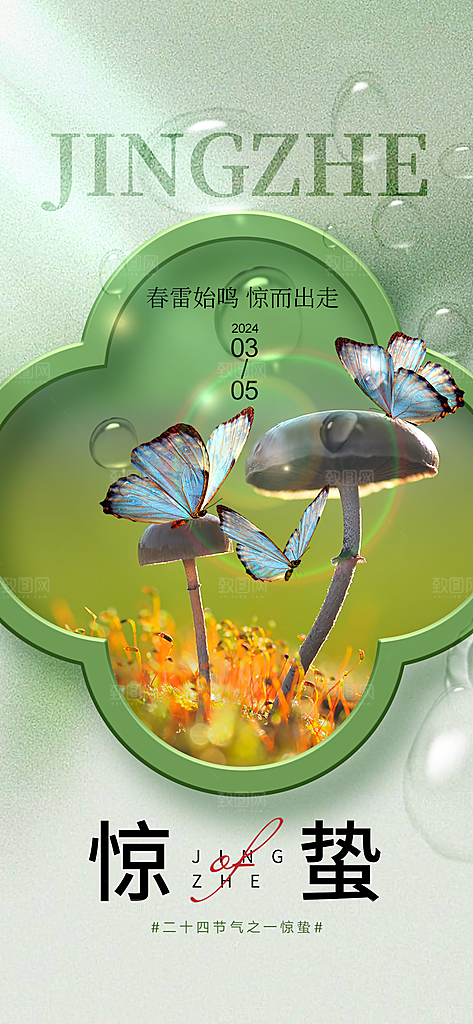 惊蛰节气简约大气海报