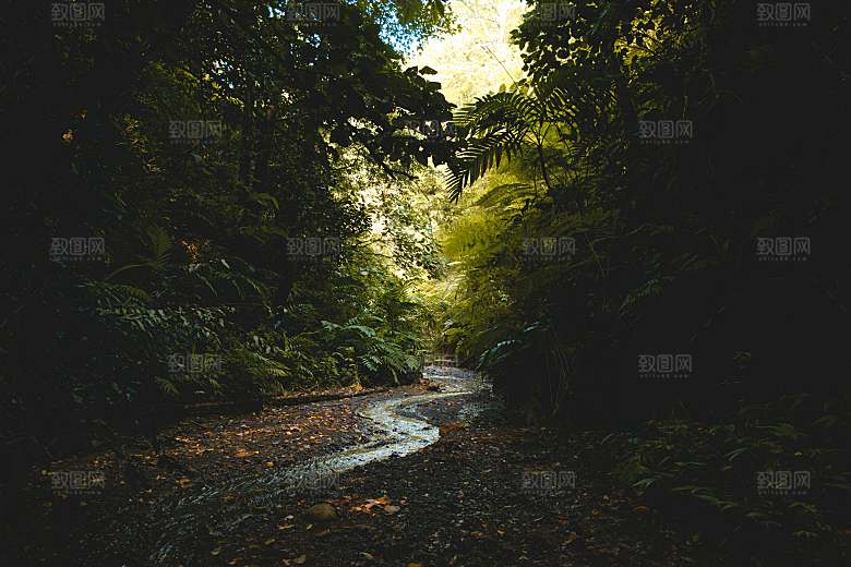 树林山林森林摄影素材