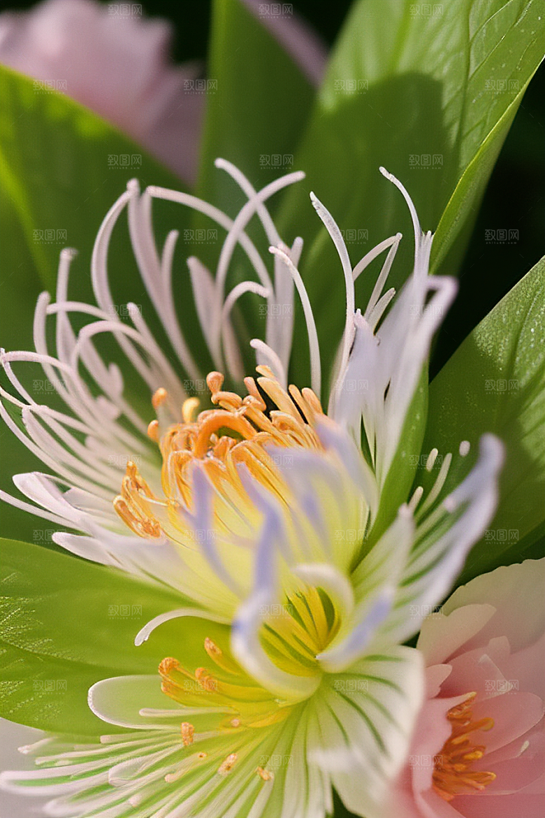 绿瓶插花自然之美的绽放艺术