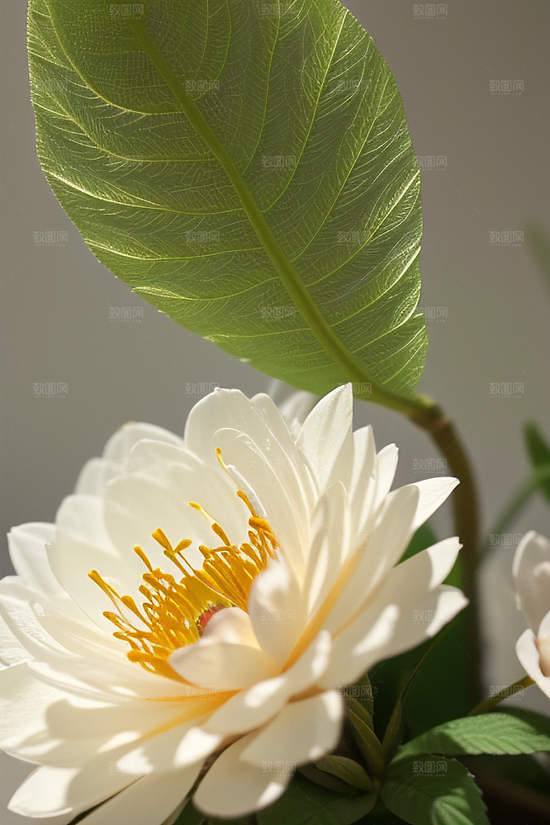 绿瓶插花自然与艺术的和谐共舞