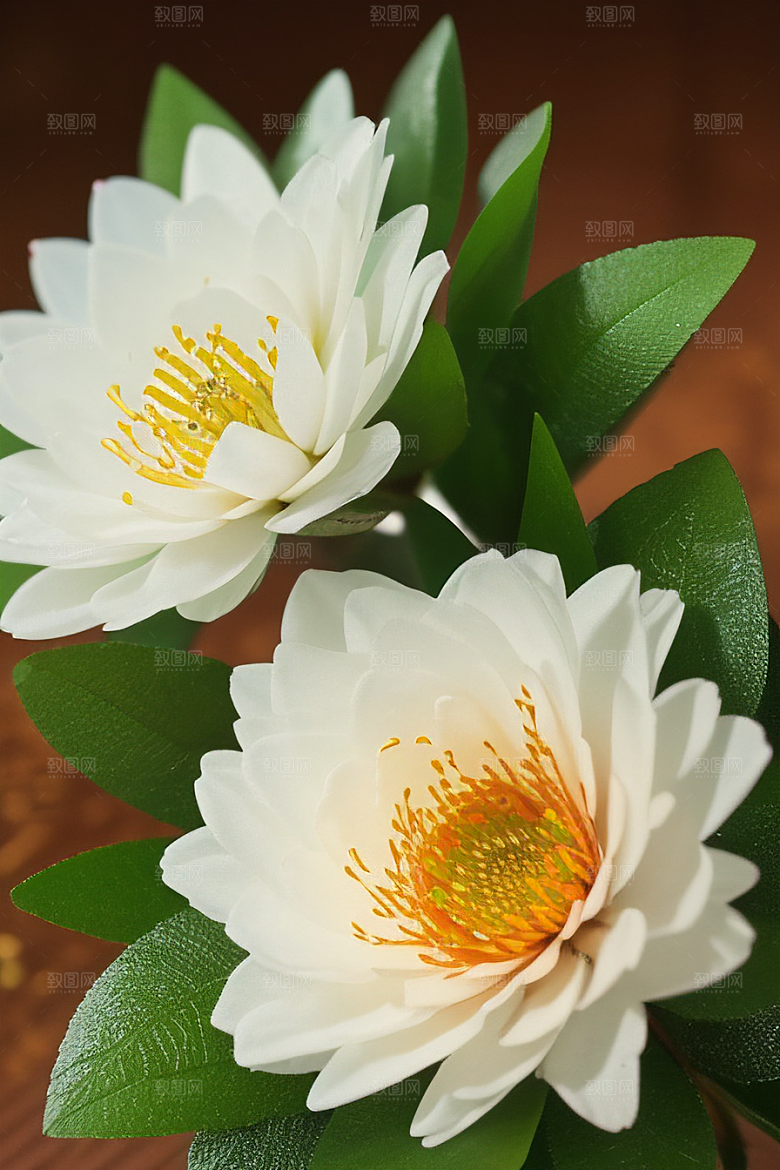 绿瓶插花自然之美的绽放