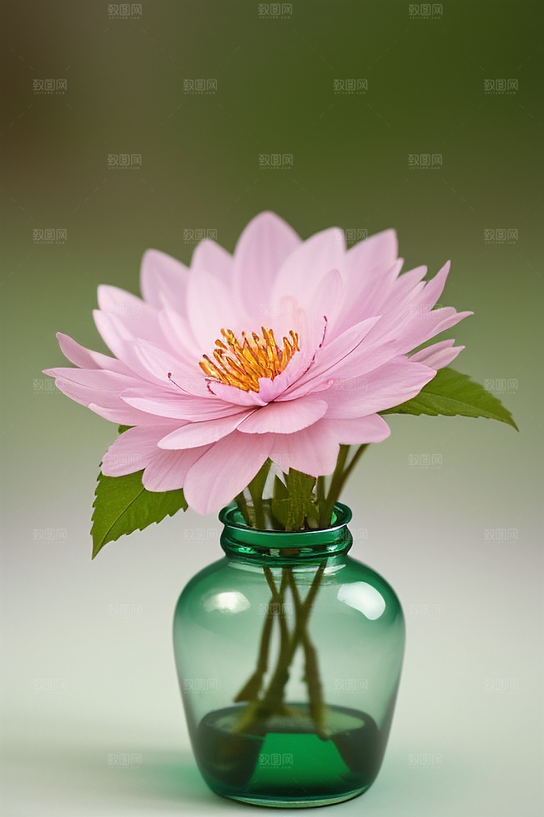 绿瓶插花自然之美的绽放