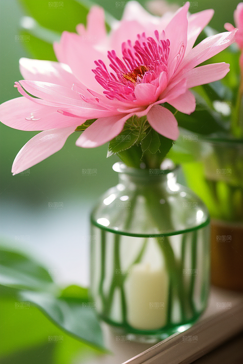 绿瓶插花自然之美的绽放