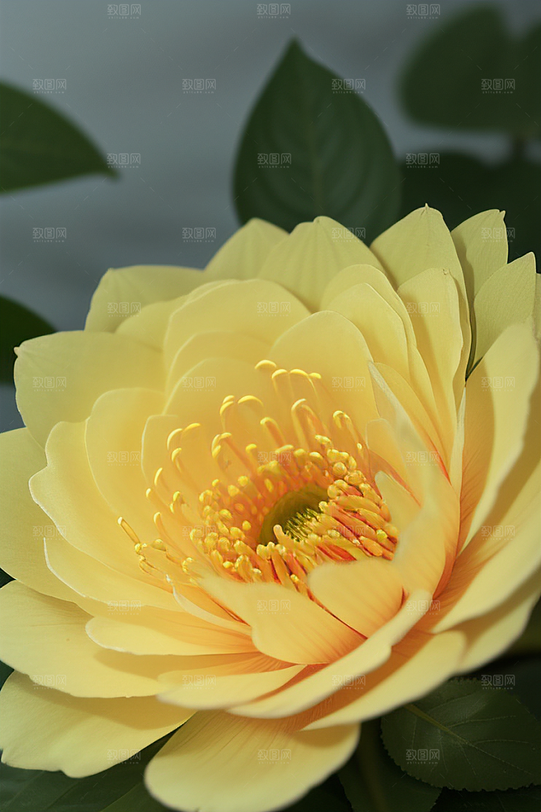 绿瓶插花的艺术之美
