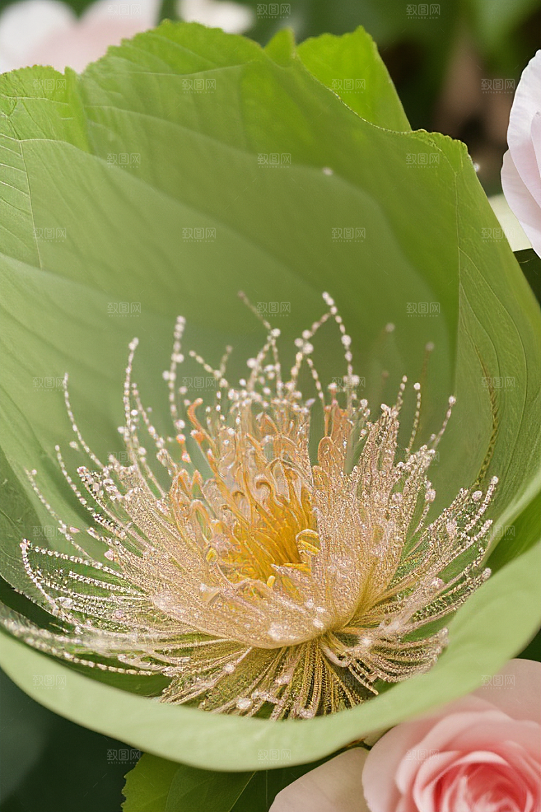 绿瓶插花大自然的精致呈现