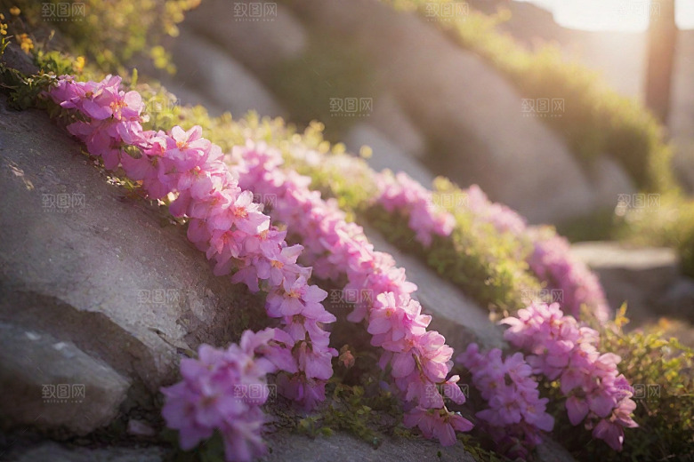 阳光透过鲜花温暖石头十字架