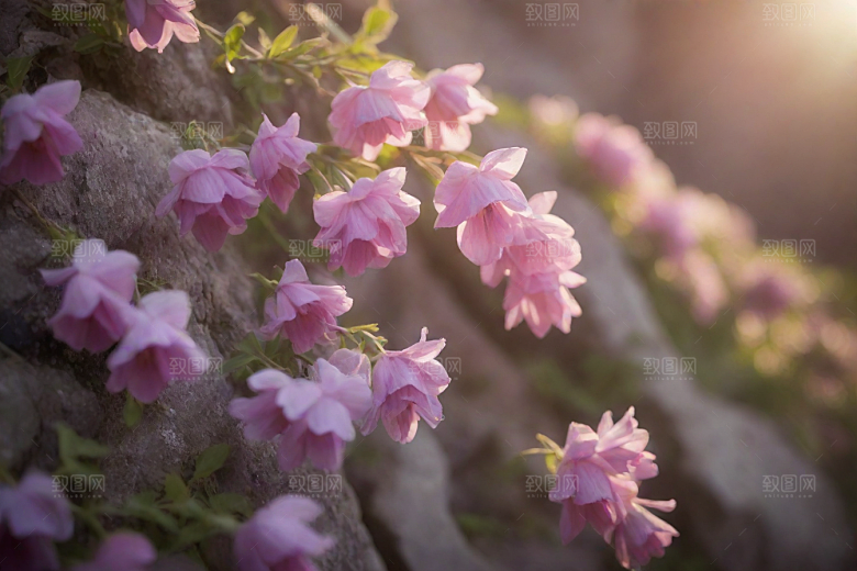 阳光透过鲜花温暖石头十字架