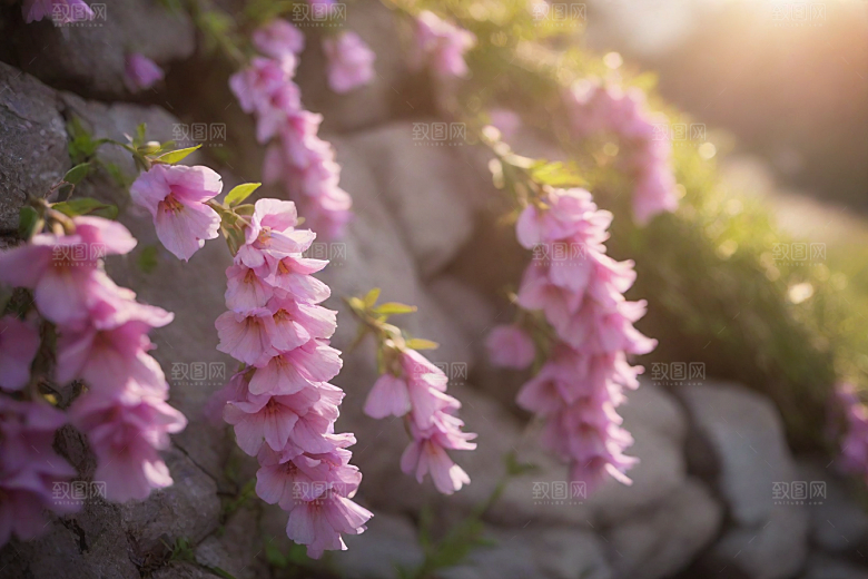 阳光透过鲜花温暖石头十字架