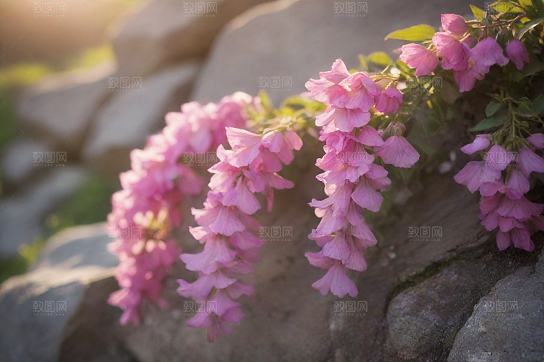 阳光透过鲜花温暖石头十字架